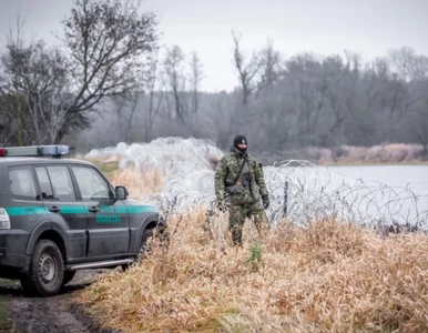 Miniatura: Widać zmianę na granicy...