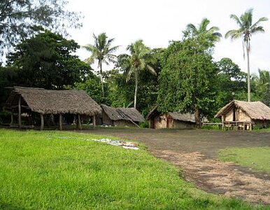 Miniatura: Vanuatu zaprzecza: Abchazji nie uznaliśmy