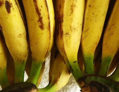 Miniatura: Policja przechwyciła narkotyki, więc......