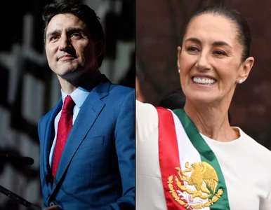 Miniatura: Kanada i Meksyk wprowadzają cła odwetowe...