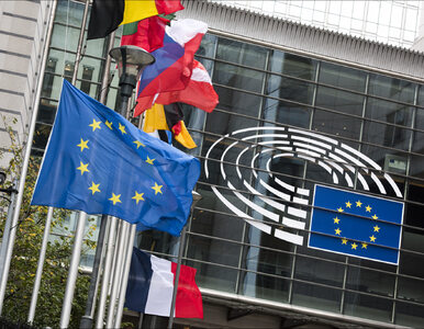 Miniatura: Parlament Europejski zatrzymał dyrektywę...