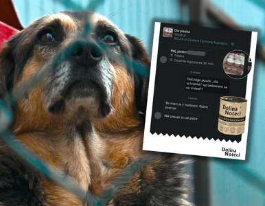 Miniatura: Pomoc dla zwierząt wystawiona na sprzedaż....