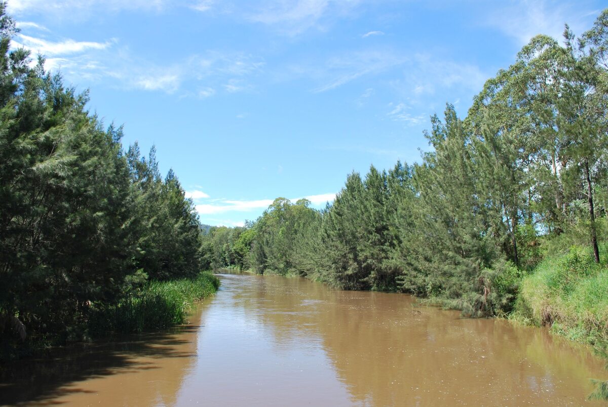 Mary River w Queensland, Australia 