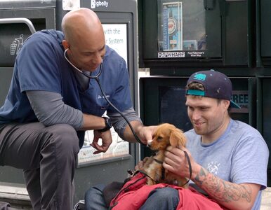 Miniatura: Weterynarz pomaga psom ludzi bezdomnych....