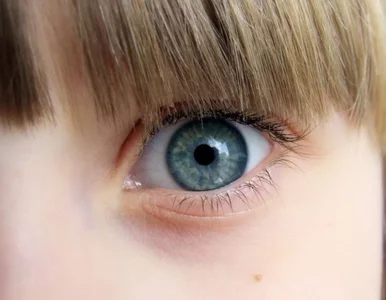 Miniatura: Pedofil z BBC