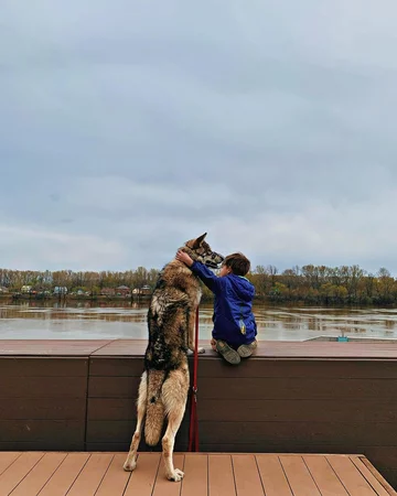 Alida i jej wilczyca Kira 
