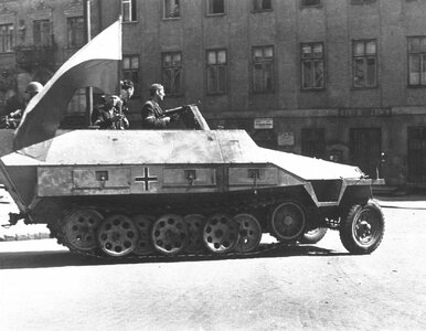 Miniatura: QUIZ. 10 pytań z historii Polski. Czy uda...