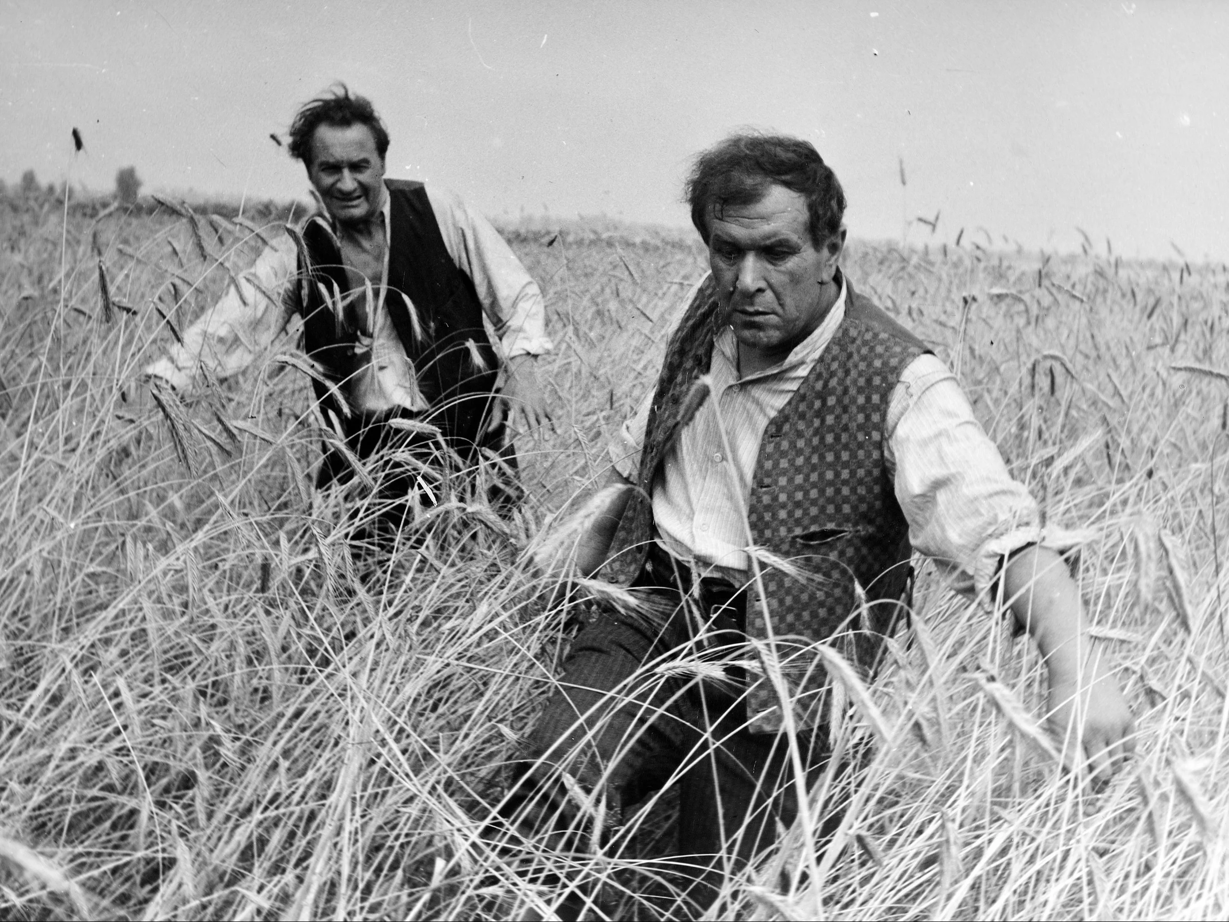 Jak dobrze znasz film „Sami swoi”? Sprawdź się!