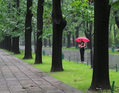 Miniatura: Bardzo zmienna pogoda na majówkę. Deszcz,...