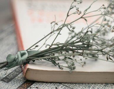 Miniatura: Co oznaczają te wyrazy? Ten quiz pokona...