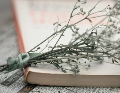 Miniatura: Co oznaczają te wyrazy? Ten quiz pokona...