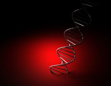 Uczeni zanalizowali genom wymarłych krewniaków człowieka