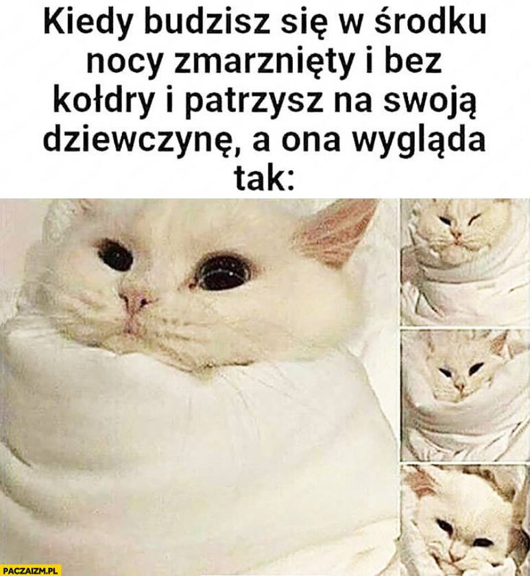 Mem z kotem 