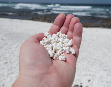 Miniatura: Popcornowa plaża i cudowna pogoda zimą....