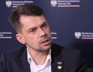 Miniatura: Kołodziejczak odpowiada Beger. „Zostawiła...