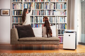 We wnętrzach, w&nbsp;kt&oacute;rych mieszkają zwierzęta istotne jest oczadzanie powietrza. Na&nbsp;zdjęciu: oczyszczacz z&nbsp;nawilżaczem powietrza Sharp AirPurifier KIG75EUW