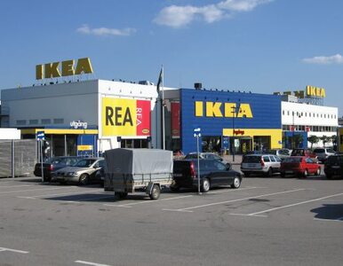 Miniatura: IKEA zatruła rzekę, ale "szkody były...