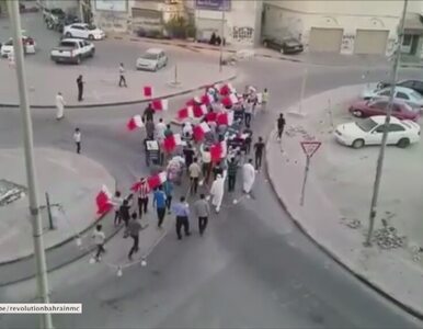 Miniatura: Demonstracje przed Grand Prix Bahrajnu....