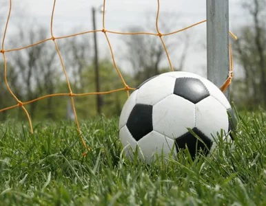 Miniatura: Rodzice brutalnie się bili a młodzi...