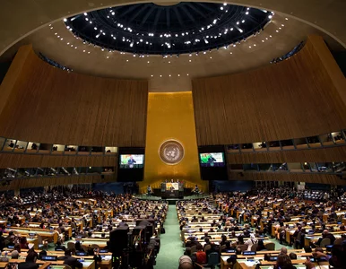 Miniatura: Na obrady ONZ bez majtek? Reprezentant...