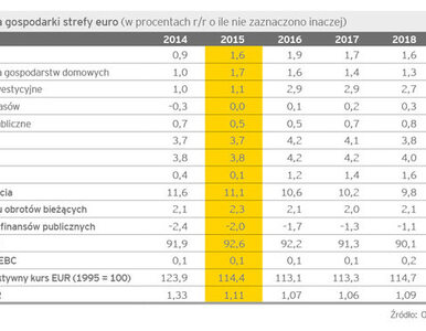Miniatura: Raport EY: Strefa euro w fazie najwyższego...