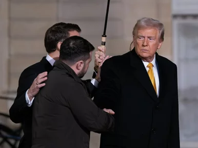 Miniatura: Зеленський відкритий до співпраці зі США....