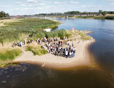 Miniatura: Zanieczyszczenie Odry: Ludzie w bojowych...