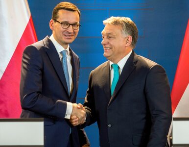 Miniatura: Orban krytycznie o propozycji Gowina,...