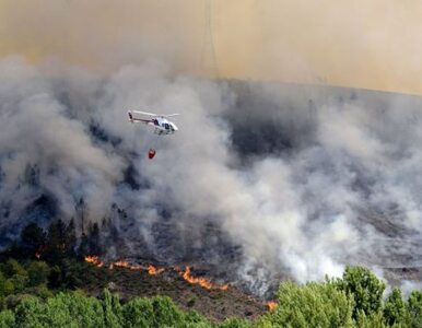 Miniatura: W Hiszpanii znowu wybuchły potężne pożary....