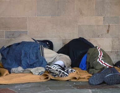Miniatura: W schronisku dla bezdomnych zepsuł się...