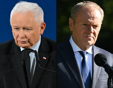 Miniatura: Trwa walka KO i PiS. Ekspert o nowym...