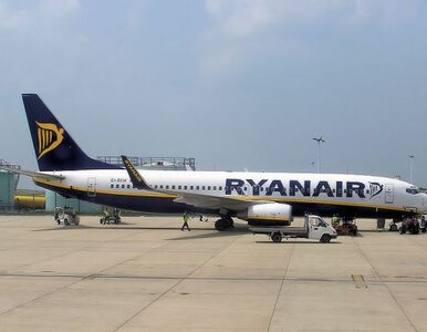 Miniatura: Ryanair każe płacić za toalety