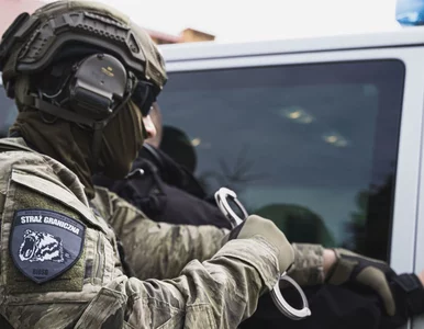 Miniatura: Handlarz ludźmi zatrzymany na granicy z...