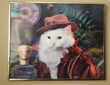 Miniatura: Najlepsze znaleziska z lumpeksów....