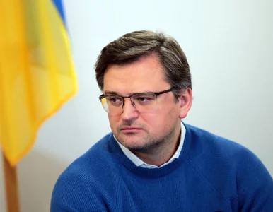 Miniatura: Kułeba: Masakra w Buczy była celowa....