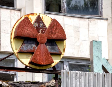 Miniatura: Rosjanie kopali w czarnobylskim Czerwonym...