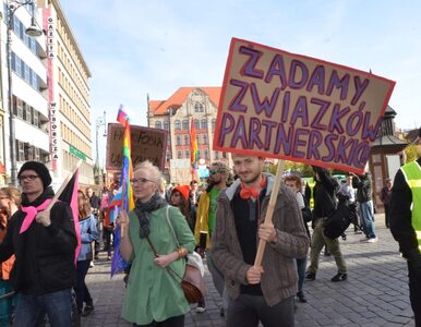 Miniatura: Marsz Równości w Poznaniu. "Lesbijki też...
