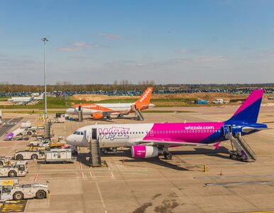 Miniatura: Turyści mają mniej stresu. Nowa usługa...