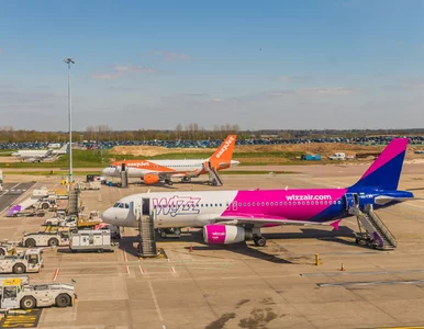 Miniatura: Turyści mają mniej stresu. Nowa usługa...