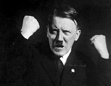 Miniatura: Koniec honorowego obywatela Adolfa...