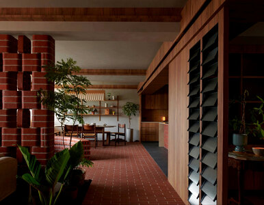 Miniatura: Miał 571 cegieł i marzenie o roślinach....