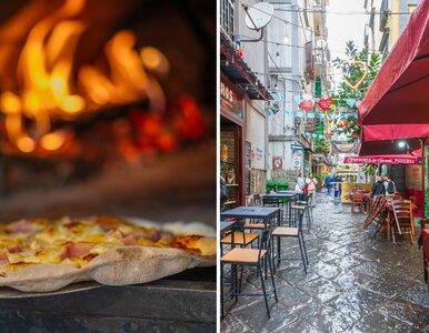 Miniatura: Ta polska pizzeria jest najlepsza na...