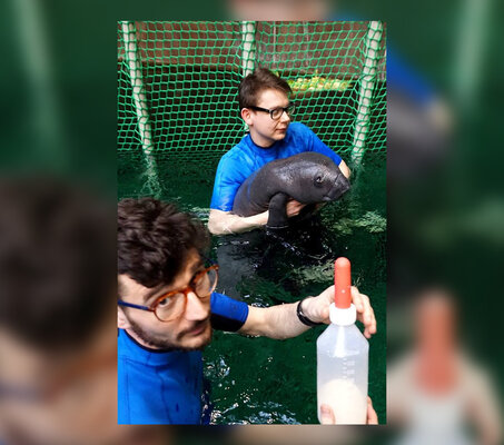 Miniatura: Wrocławskie ZOO chwali się najmłodszym...