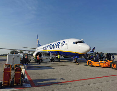 Miniatura: Szef Ryanaira przekazał złe wiadomości....