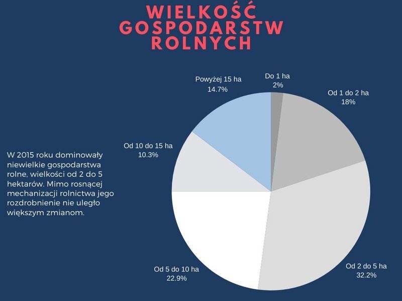 Powierzchnia gospodarstw rolnych w 2015 roku