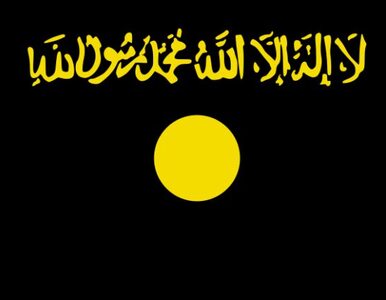 Miniatura: Al-Kaida potwierdza śmierć Awlakiego