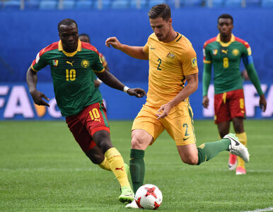 Miniatura: Reprezentacja Kamerunu w piłce nożnej