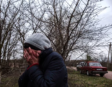 Miniatura: Pierwszy proces ws. zbrodni wojennych na...