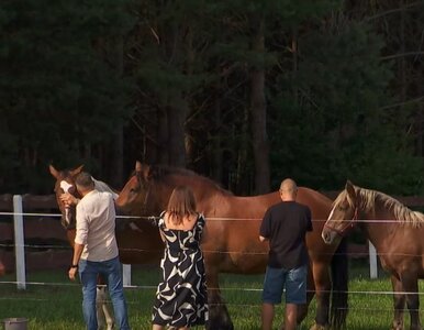 Miniatura: Tego jeszcze nie było w „Rolniku”. Basia w...