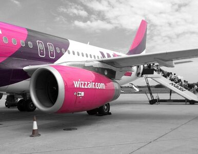 Miniatura: Polacy walczą o odszkodowanie. Wizz Air...